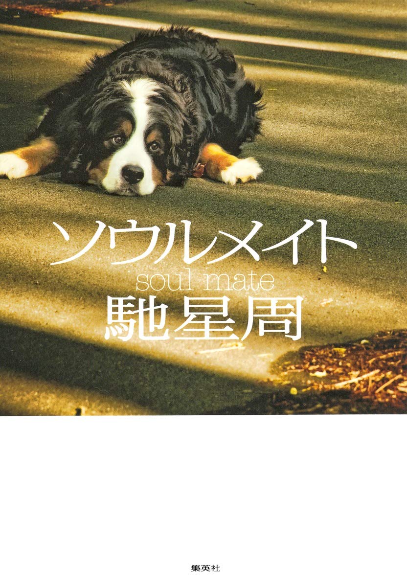 【完売】ソウルメイト（馳星周）2026年7月購入◎書店のブックカバーと栞つき 71Ev5zhFg+L.jpg